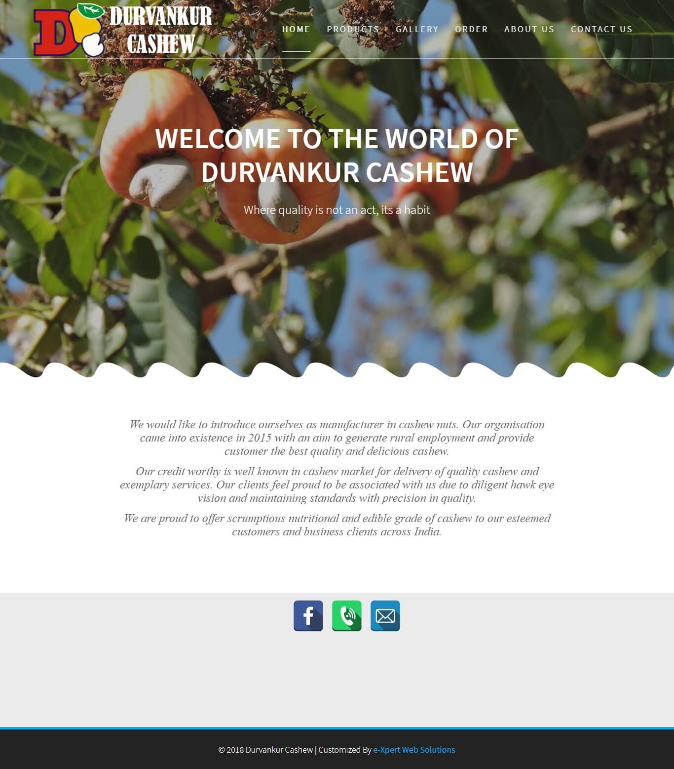 Durvankur Cashew, Kudal